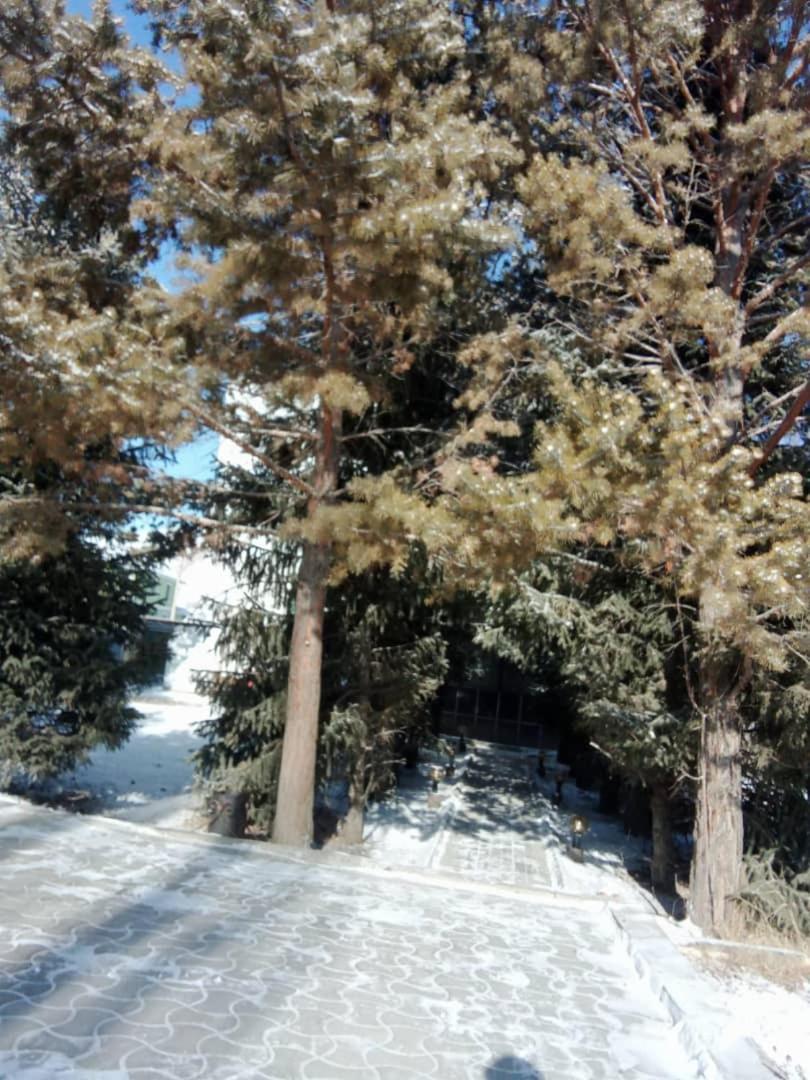 Aska Hotel Naryn ภายนอก รูปภาพ
